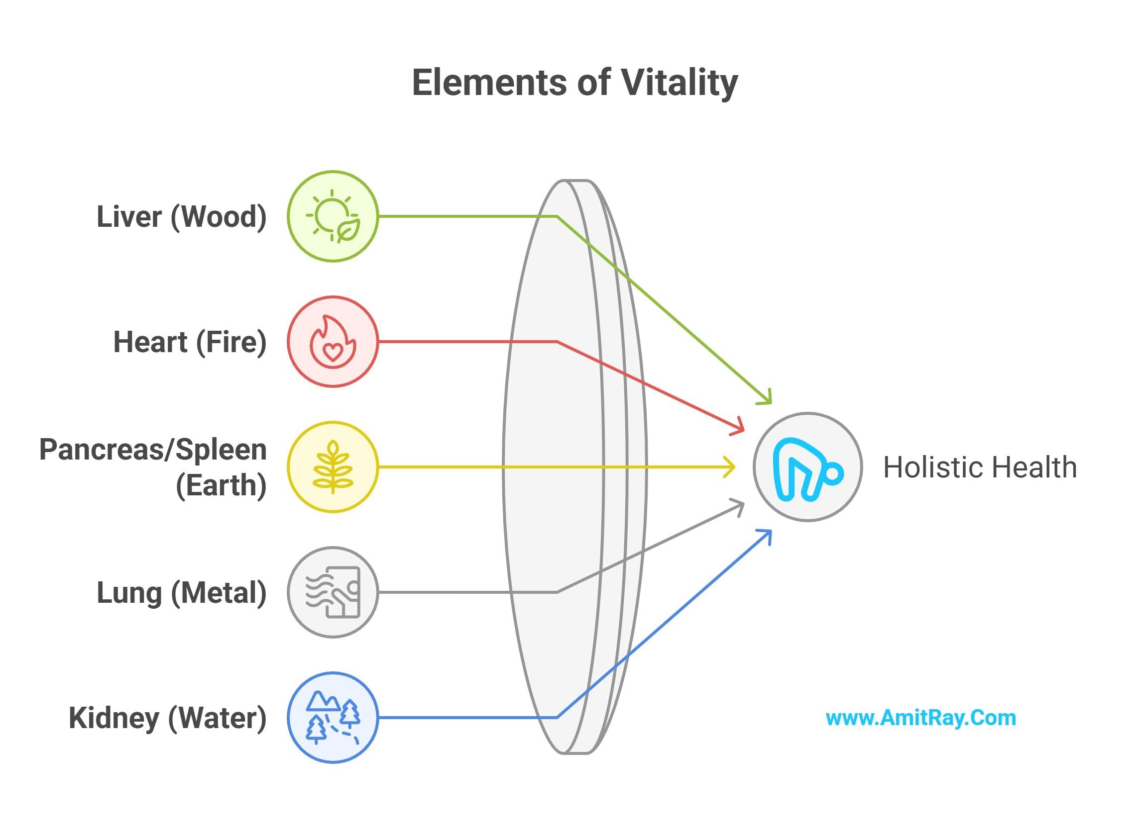 Five Elements of TCM vs Ayurveda for Health, Healing & Wellness
