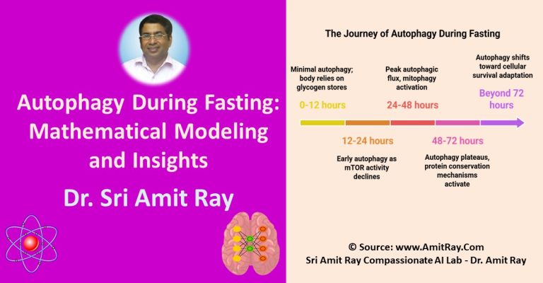 Autophagy During Fasting: Mathematical Modeling and Insights