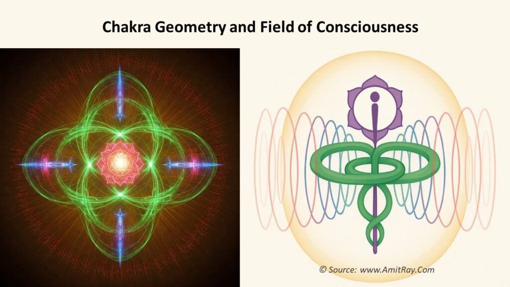 Neural Geometry of Consciousness: Sri Amit Ray’s 256 Chakras