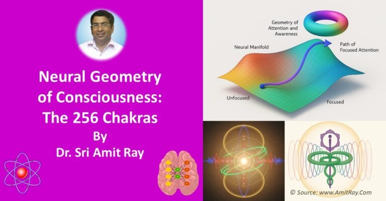 Neural Geometry of Consciousness: Sri Amit Ray’s 256 Chakras