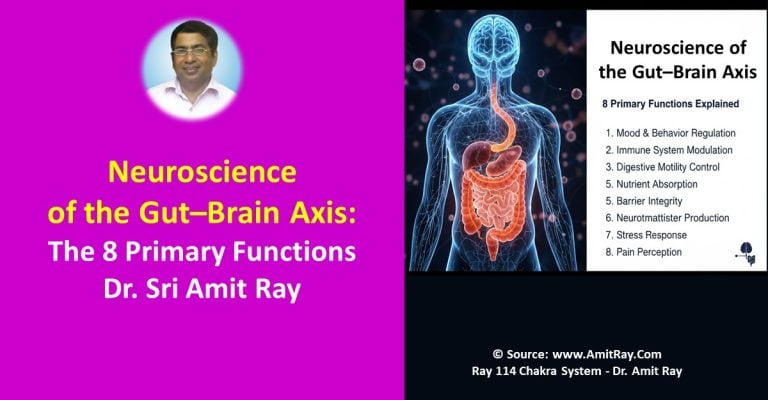 Neuroscience of the Gut–Brain Axis: 8 Primary Functions – A Scientific Review