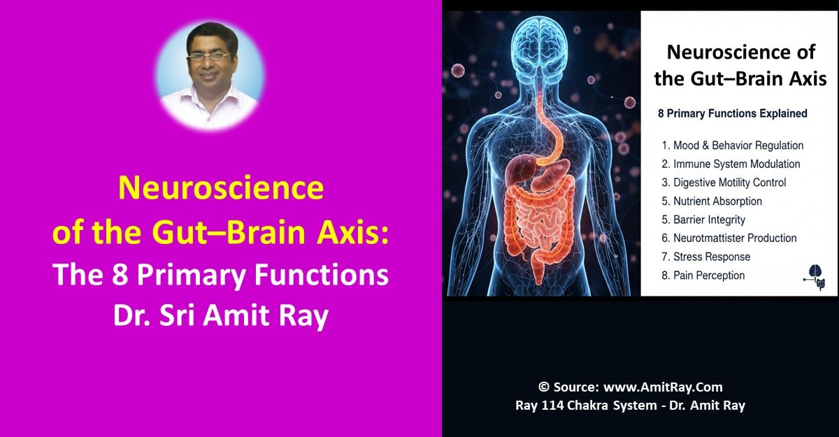Neuroscience of the Gut–Brain Axis: 8 Primary Functions – A Scientific Review