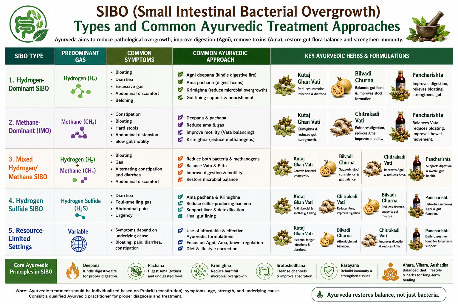 SIBO: A Complete Research Guide to Symptoms, Causes, Testing, Treatment, Diets, Ayurveda & Homeopathy