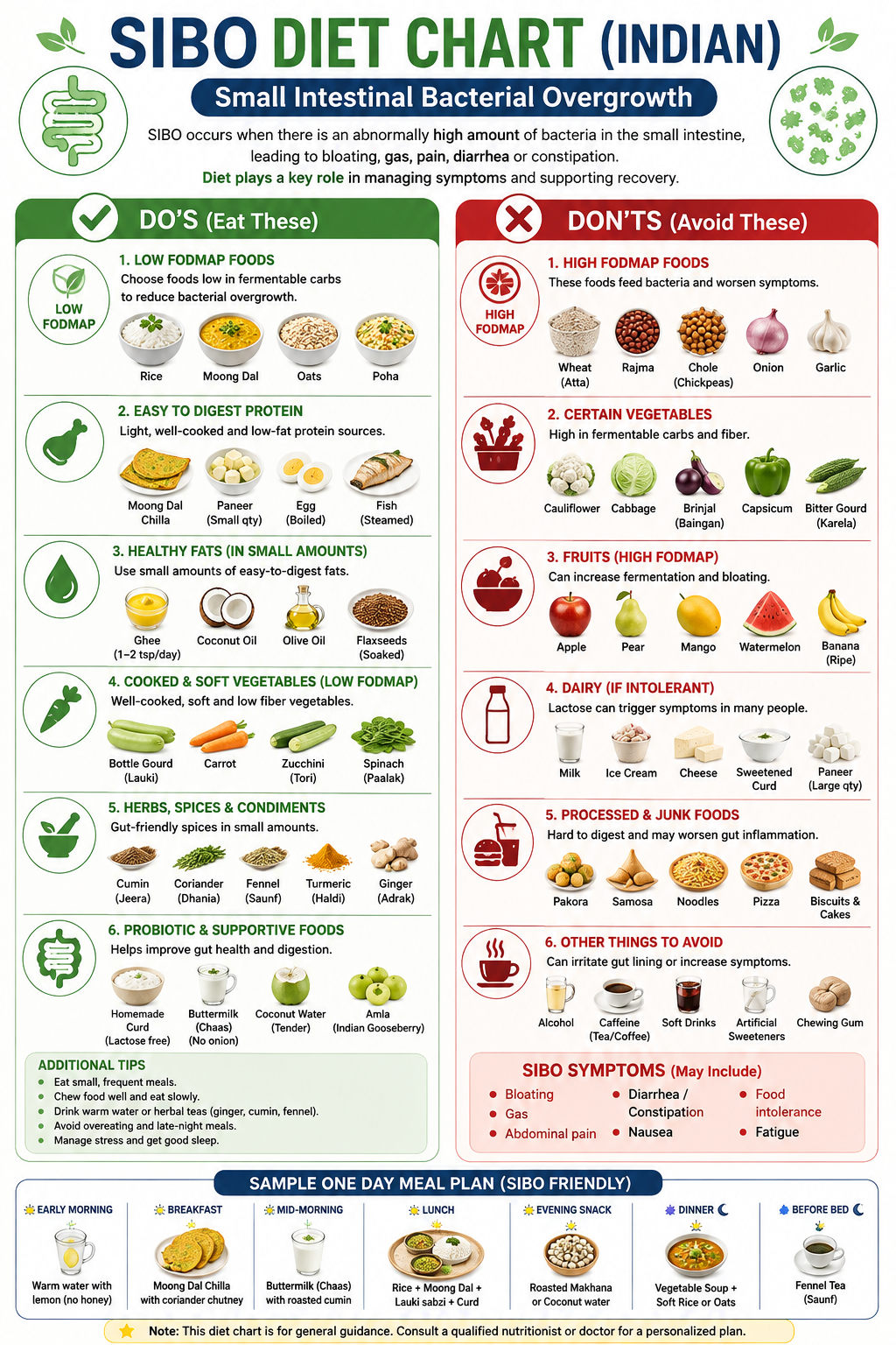 SIBO: A Complete Research Guide to Symptoms, Causes, Testing, Treatment, Diets, Ayurveda & Homeopathy