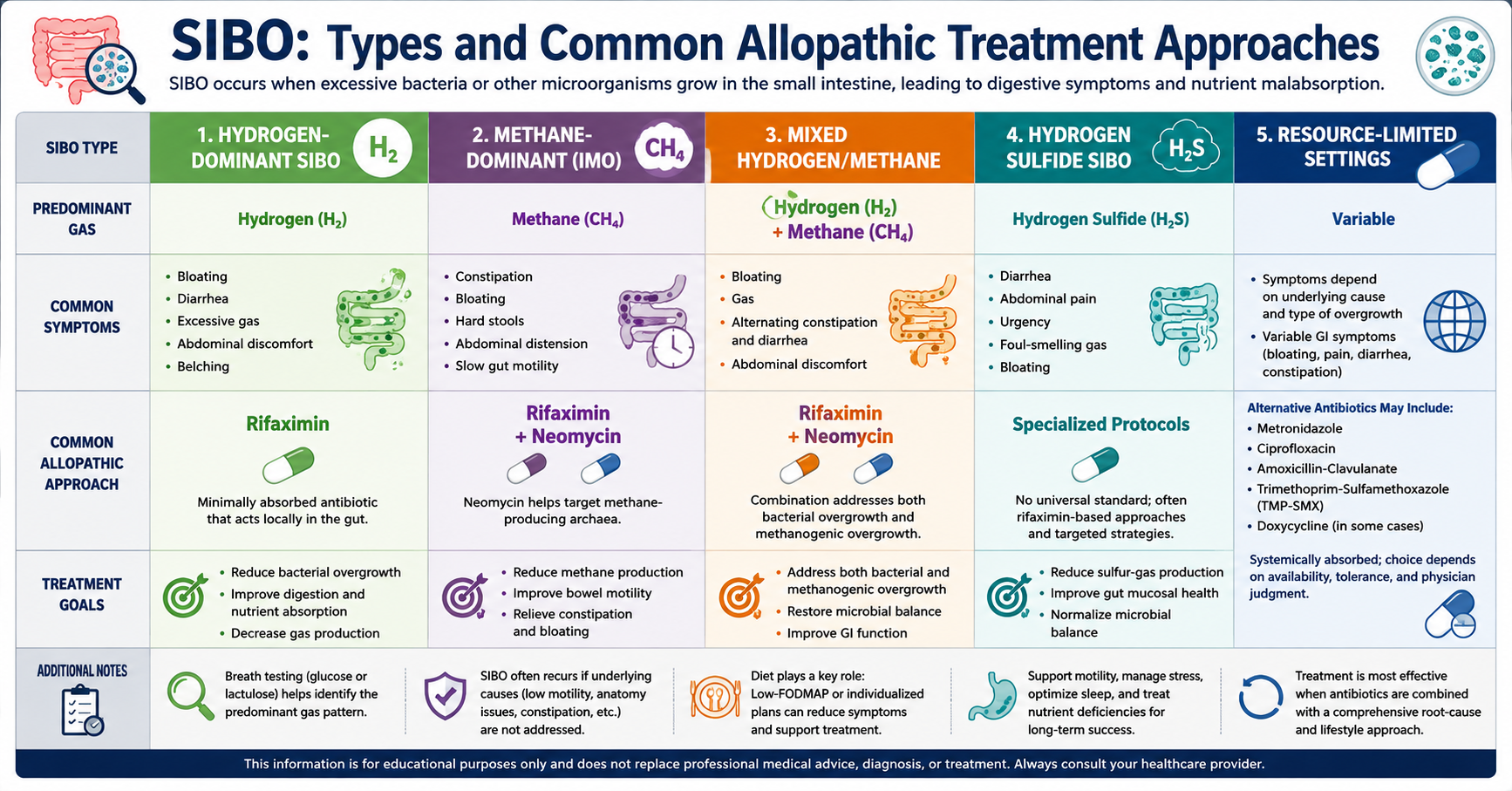 SIBO: A Complete Research Guide to Symptoms, Causes, Testing, Treatment, Diets, Ayurveda & Homeopathy