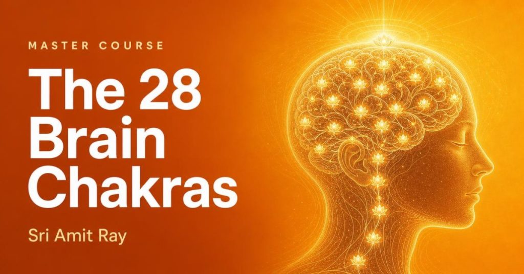 The 28 Brain Chakras Master Course
