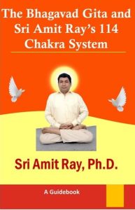The Bhagavad Gita and Sri Amit Ray’s 114 Chakra System